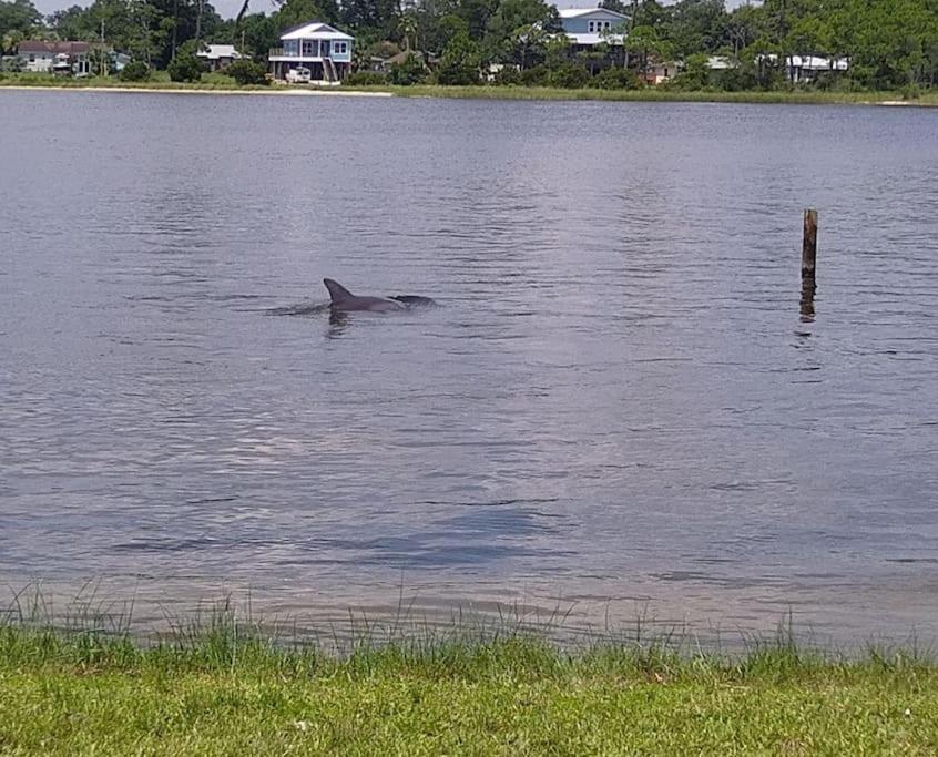 Relax And Enjoy Bayou Grande Pensacola